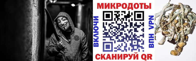 Галлюциногенные грибы Psilocybine cubensis  Болохово 